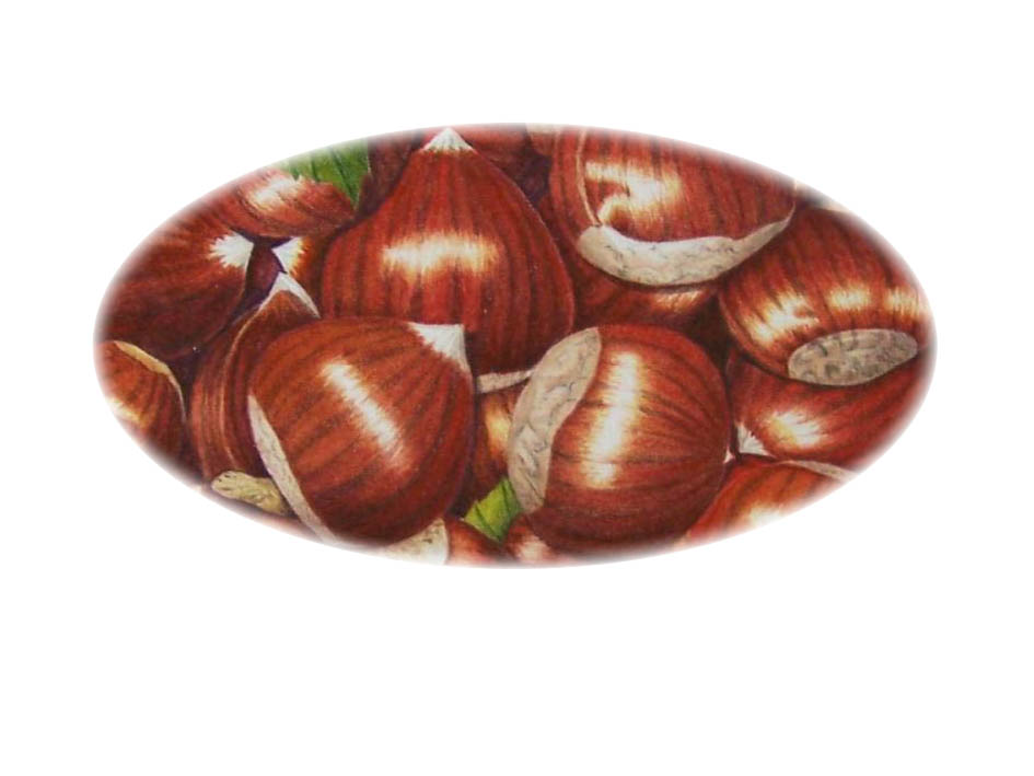 Chestnuts BB